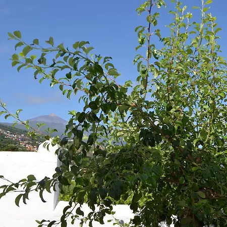 Hébergement de vacances La Abejera