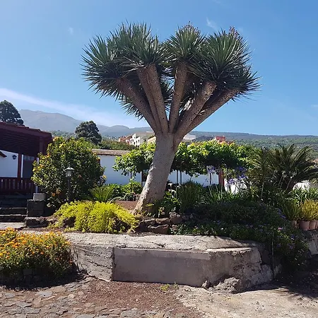 La Abejera La Orotava