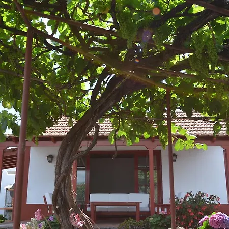 Hébergement de vacances La Abejera La Orotava